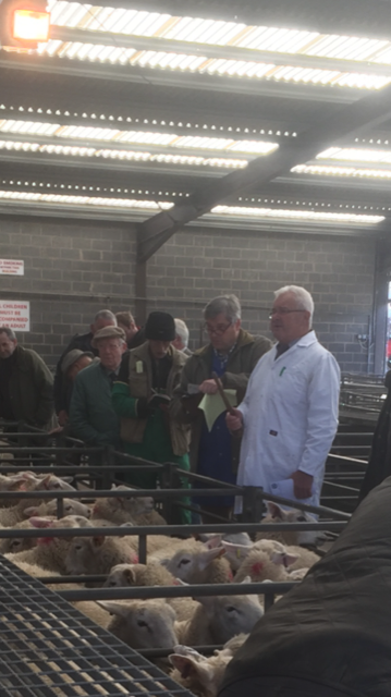 cc1 - Selby Livestock Auction Mart