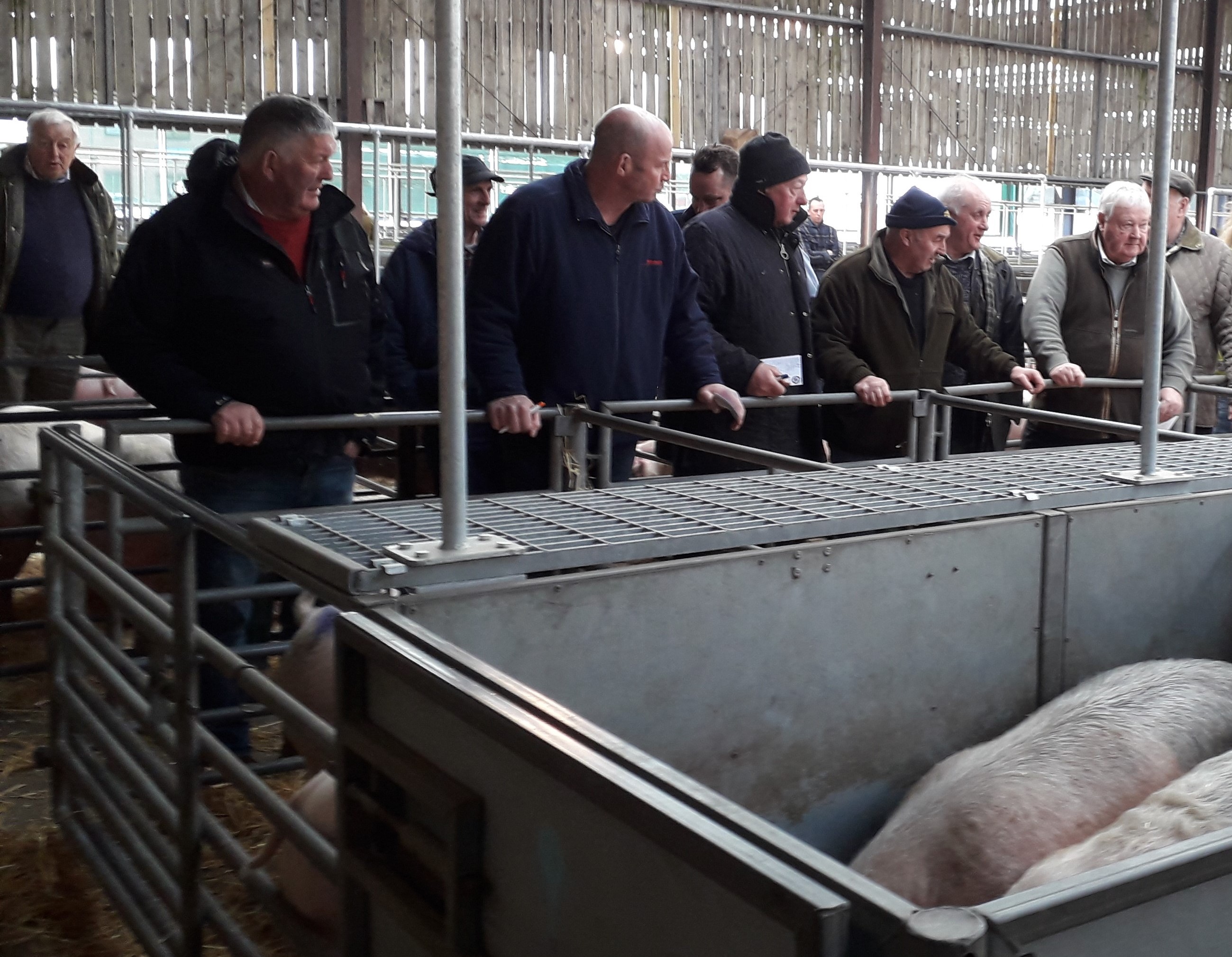 wed 13.3 (2) - Selby Livestock Auction Mart